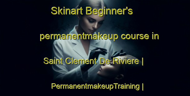 Skinart Beginner's permanentmakeup course in Saint Clement De Riviere | PermanentmakeupTraining | PermanentmakeupClasses | SkinartTraining-France